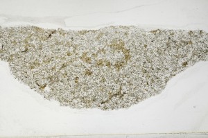 Plane Polarized, S63164