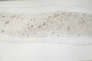 Plane Polarized, S63165