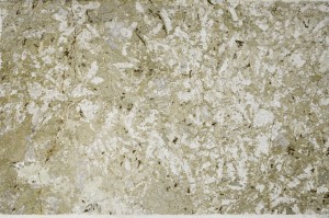 Plane Polarized, S63173