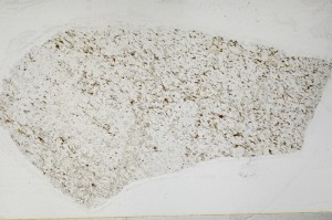 Plane Polarized, S63177