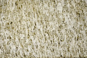 Plane Polarized, S63193