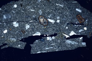 Cross Polarized, S63204/A