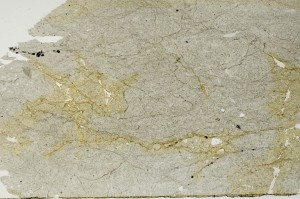 Plane Polarized, S63209