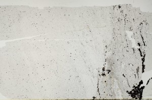 Plane Polarized, S63212