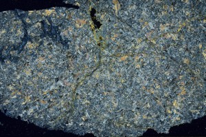 Cross Polarized, S63220