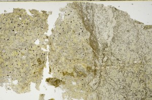 Plane Polarized, S63232