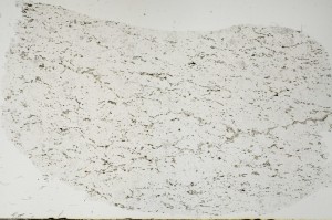 Plane Polarized, S63311