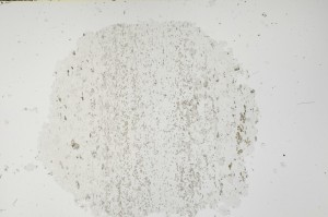 Plane Polarized, S63318