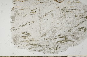 Plane Polarized, S63320