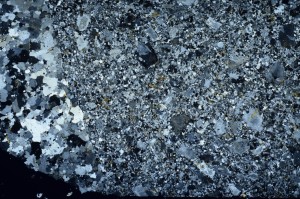 Cross Polarized, S63321