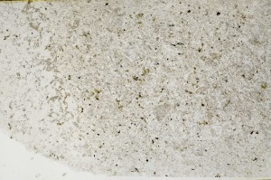 Plane Polarized, S63321