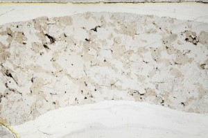 Plane Polarized, S63338