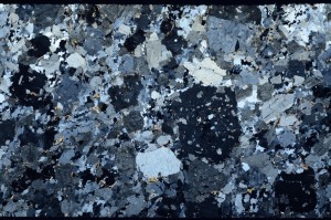 Cross Polarized, S63339