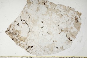 Plane Polarized, S63341