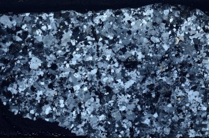 Cross Polarized, S63342