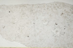 Plane Polarized, S63342