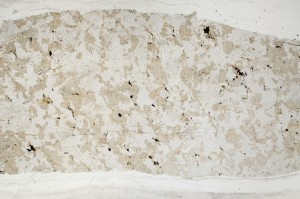 Plane Polarized, S63345