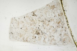 Plane Polarized, S63347