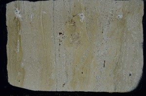 Cross Polarized, S63399