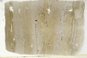 Plane Polarized, S63399