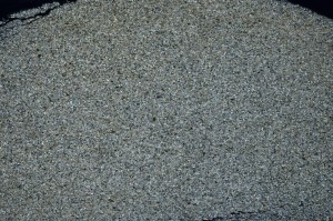 Cross Polarized, S63400