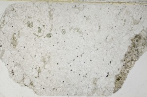 Plane Polarized, S63409