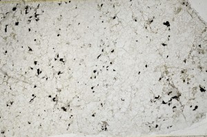 Plane Polarized, S63411