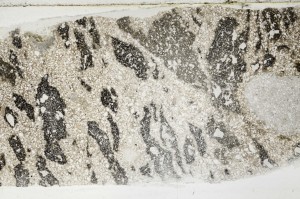 Plane Polarized, S63413