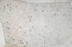 Plane Polarized, S63416