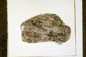 Plane Polarized, S63465