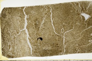 Plane Polarized, S63466