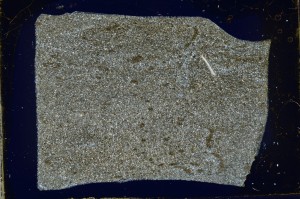 Cross Polarized, S63468