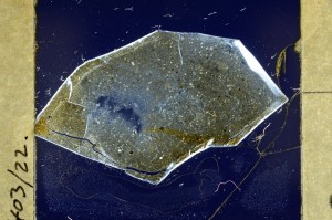 Cross Polarized, S63471