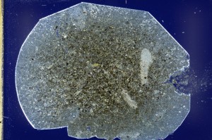 Cross Polarized, S63473