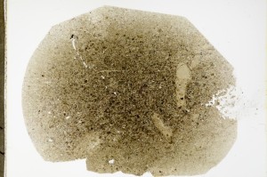 Plane Polarized, S63473