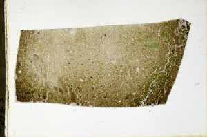 Plane Polarized, S63474