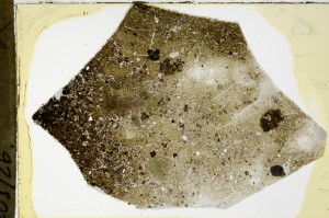 Plane Polarized, S63475