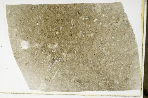 Plane Polarized, S63477