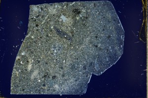 Cross Polarized, S63480