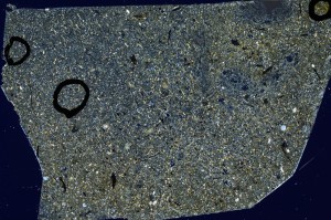 Cross Polarized, S63482