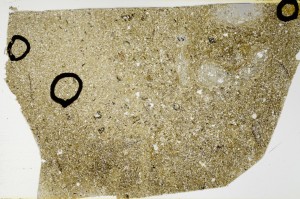 Plane Polarized, S63482