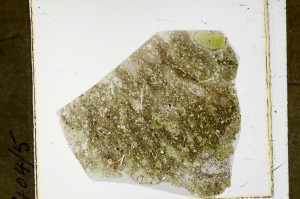 Plane Polarized, S63489