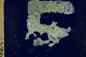 Cross Polarized, S63489/A