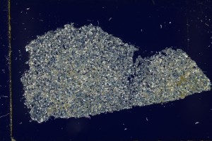 Cross Polarized, S63490