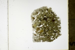 Plane Polarized, S63499