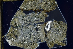 Cross Polarized, S63500