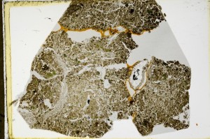 Plane Polarized, S63500