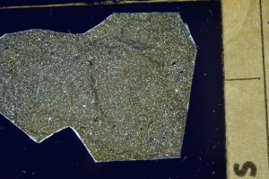 Cross Polarized, S63505