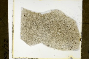 Plane Polarized, S63506