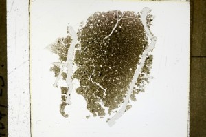 Plane Polarized, S63507